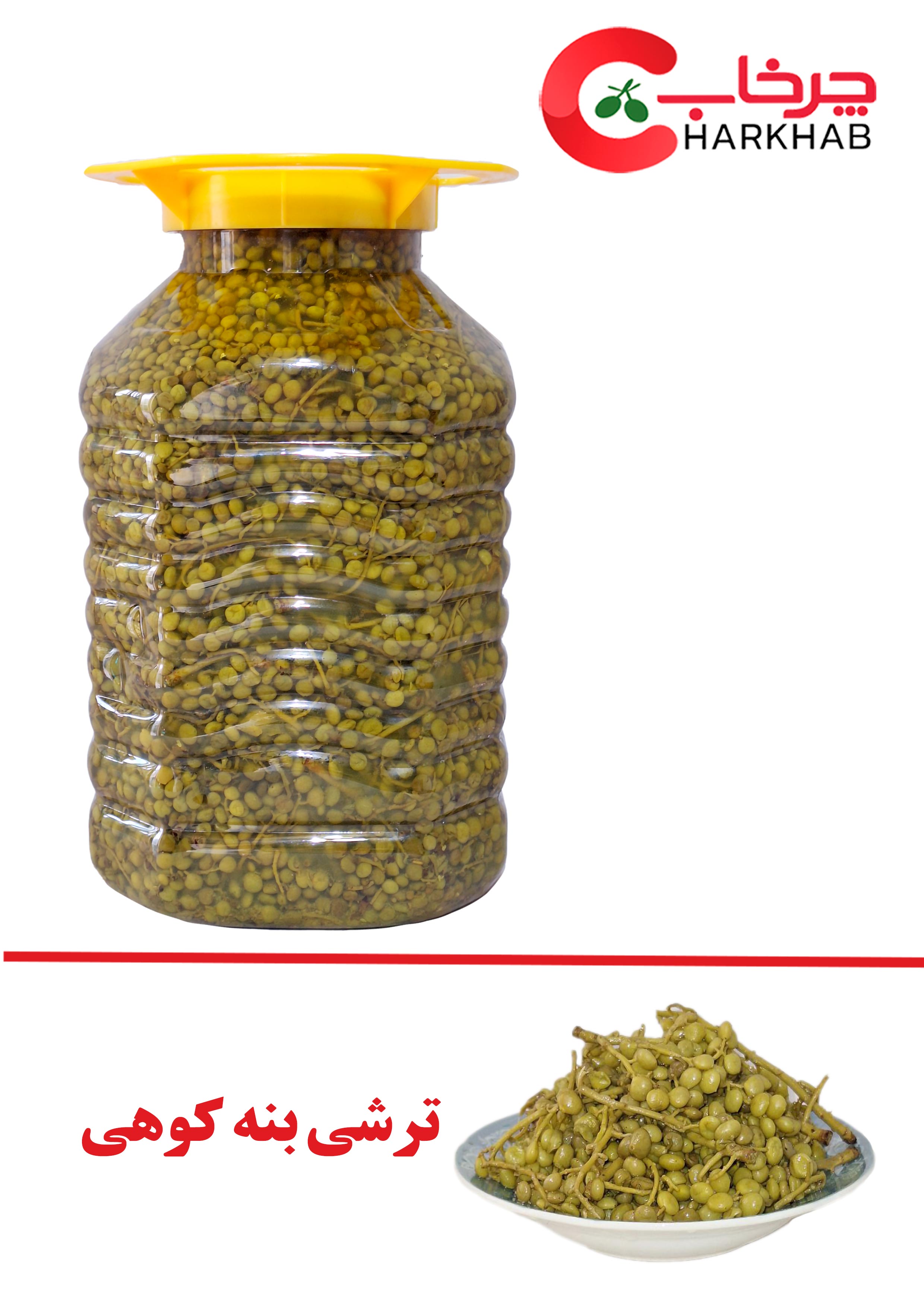 ترشی بنه کوهی